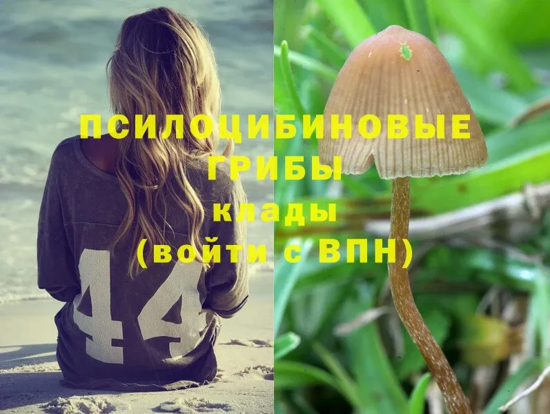 Галлюциногенные грибы Magic Shrooms  МЕГА онион  Ивантеевка 